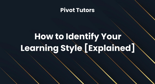 How to Identify Your Learning Style [Explained]